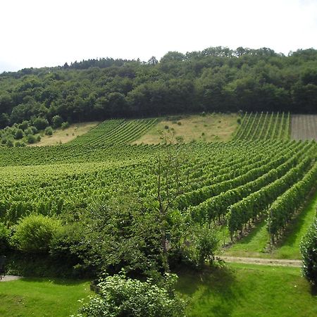 Ferienwohnung Feriendomizil&Weingut Roussel mit Restaurant La Bonne Adresse Bernkastel-Kues Exterior foto